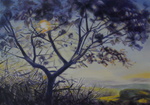 Baum 2