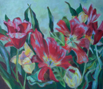 Tulpen