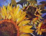 Sonnenblumen